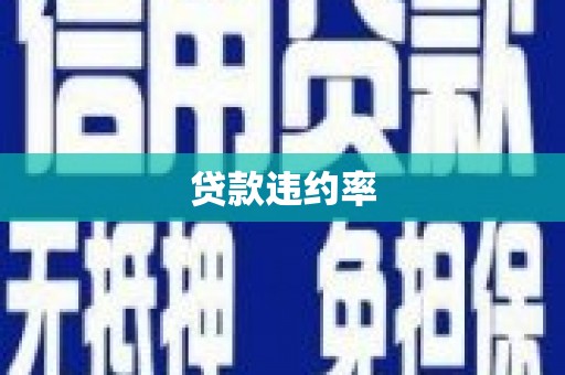 桐城贷款违约率