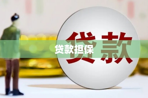 桐城贷款担保