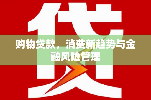 桐城购物贷款，消费新趋势与金融风险管理