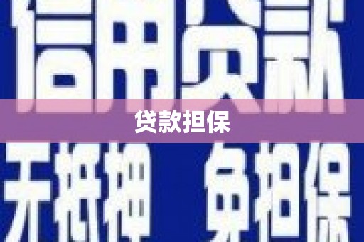 桐城贷款担保