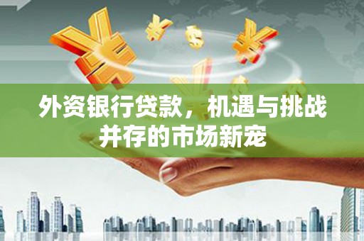 桐城外资银行贷款，机遇与挑战并存的市场新宠
