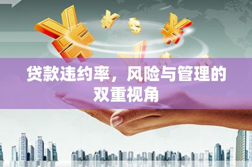 桐城贷款违约率，风险与管理的双重视角