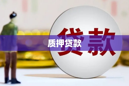 桐城质押贷款