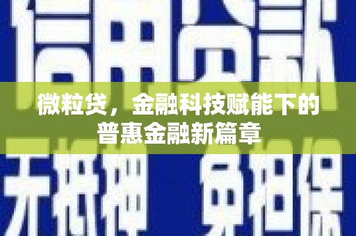 桐城微粒贷，金融科技赋能下的普惠金融新篇章