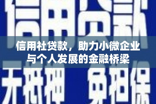 桐城信用社贷款，助力小微企业与个人发展的金融桥梁