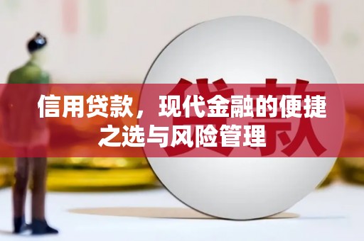 桐城信用贷款，现代金融的便捷之选与风险管理