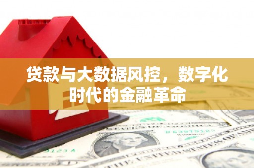 桐城贷款与大数据风控，数字化时代的金融革命