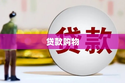 桐城贷款购物