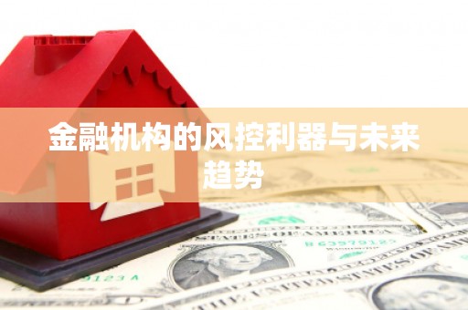 桐城金融机构的风控利器与未来趋势