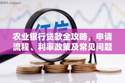 桐城农业银行贷款全攻略，申请流程、利率政策及常见问题解析