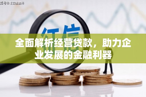 桐城全面解析经营贷款，助力企业发展的金融利器
