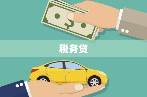桐城税务贷