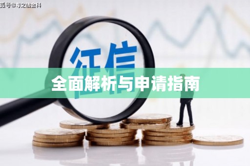 桐城全面解析与申请指南