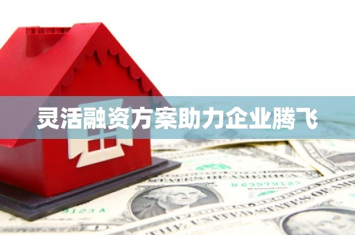 桐城灵活融资方案助力企业腾飞