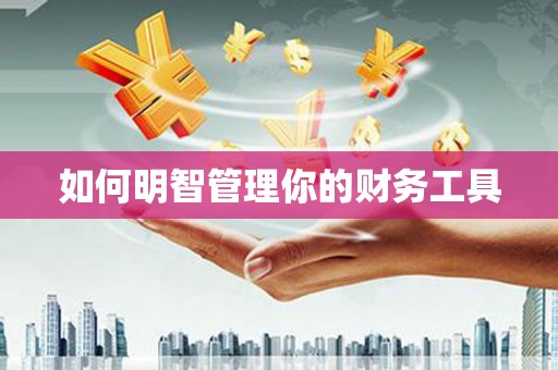 桐城如何明智管理你的财务工具
