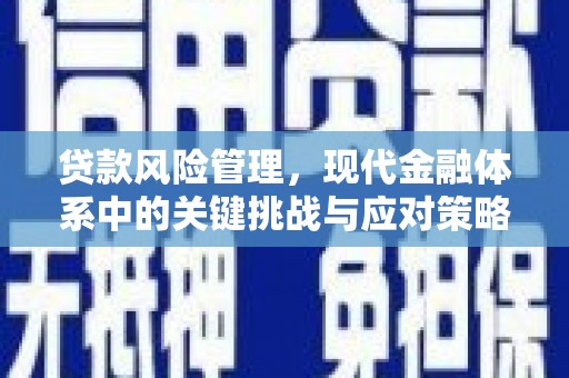 桐城贷款风险管理，现代金融体系中的关键挑战与应对策略