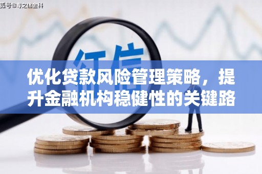 桐城优化贷款风险管理策略，提升金融机构稳健性的关键路径