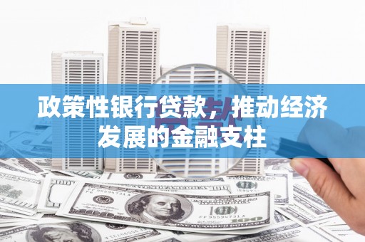 桐城政策性银行贷款，推动经济发展的金融支柱