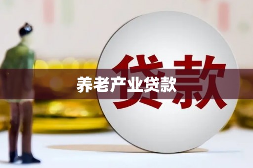 桐城养老产业贷款