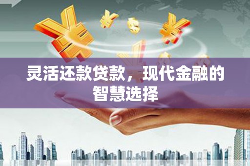 桐城灵活还款贷款，现代金融的智慧选择
