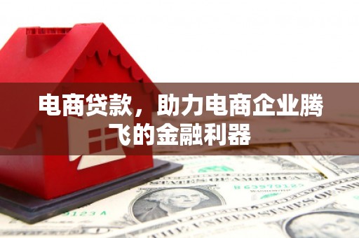 桐城电商贷款，助力电商企业腾飞的金融利器