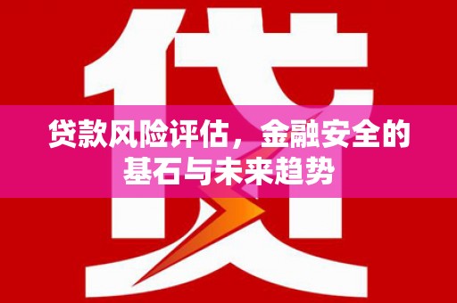 桐城贷款风险评估，金融安全的基石与未来趋势