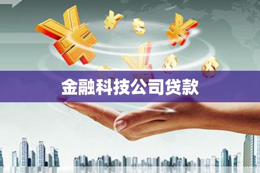 桐城金融科技公司贷款