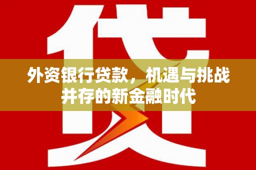 桐城外资银行贷款，机遇与挑战并存的新金融时代