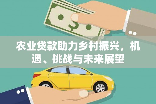 桐城农业贷款助力乡村振兴，机遇、挑战与未来展望