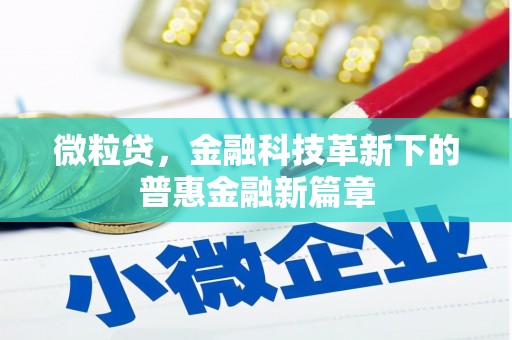 桐城微粒贷，金融科技革新下的普惠金融新篇章