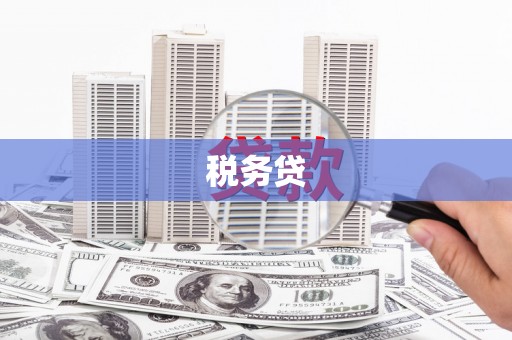 桐城税务贷