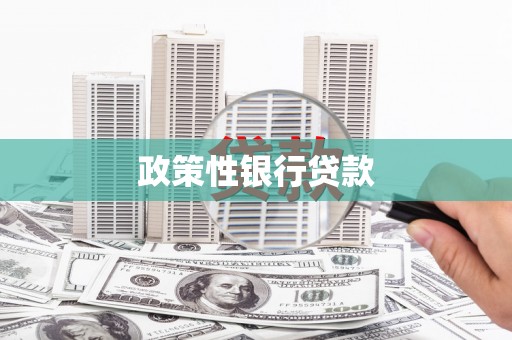 桐城政策性银行贷款