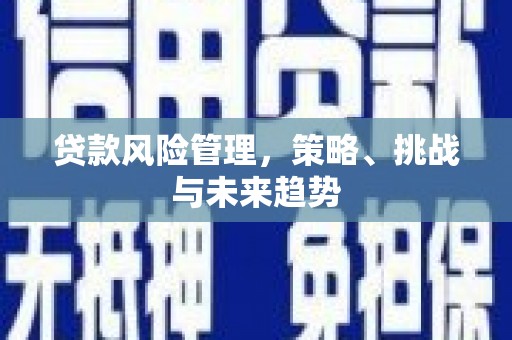 桐城贷款风险管理，策略、挑战与未来趋势