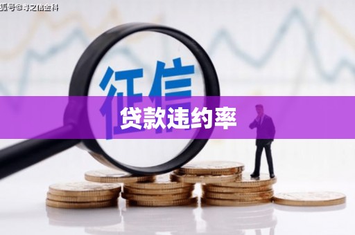 桐城贷款违约率