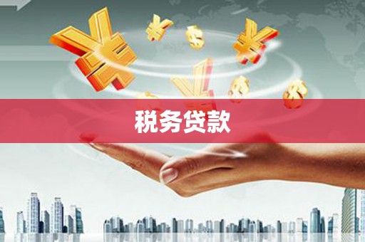 桐城税务贷款