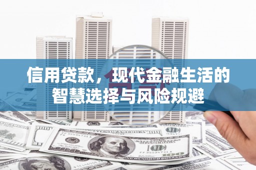 桐城信用贷款，现代金融生活的智慧选择与风险规避