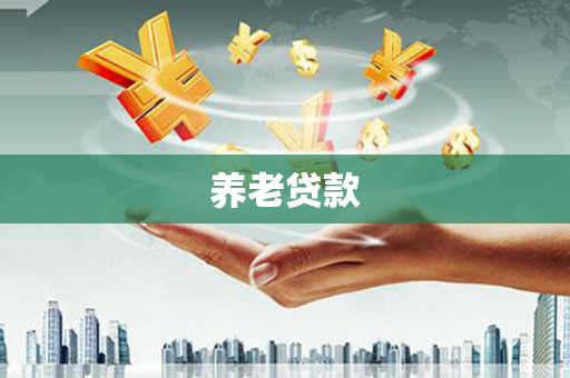 桐城养老贷款