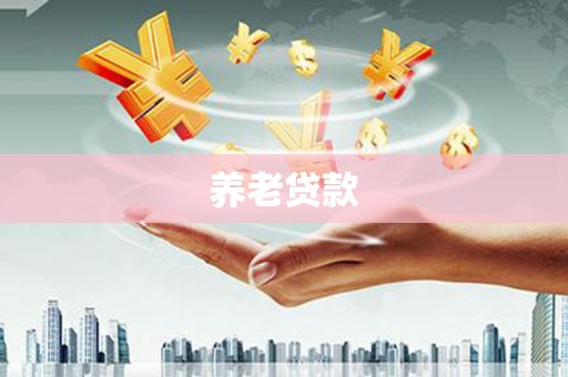 桐城养老贷款