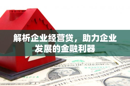 桐城解析企业经营贷，助力企业发展的金融利器