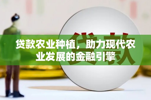 桐城贷款农业种植，助力现代农业发展的金融引擎