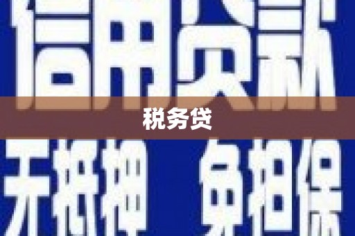 桐城税务贷