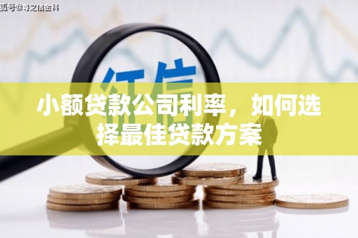 桐城小额贷款公司利率，如何选择最佳贷款方案