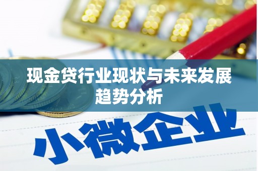 桐城现金贷行业现状与未来发展趋势分析