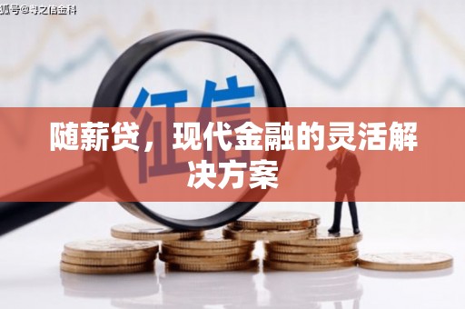 桐城随薪贷，现代金融的灵活解决方案