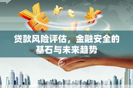 桐城贷款风险评估，金融安全的基石与未来趋势