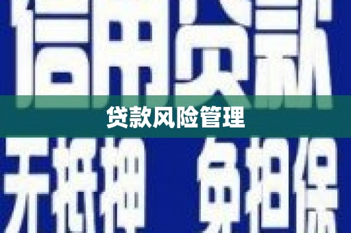 桐城贷款风险管理