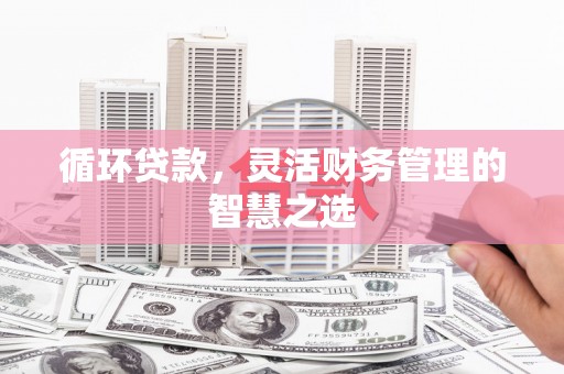 桐城循环贷款，灵活财务管理的智慧之选