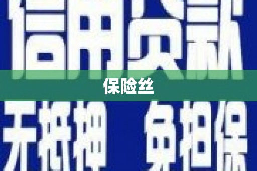 桐城保险丝
