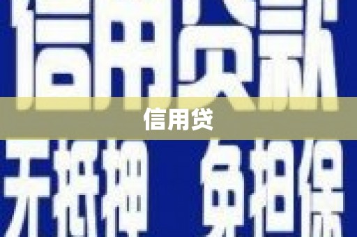 桐城信用贷