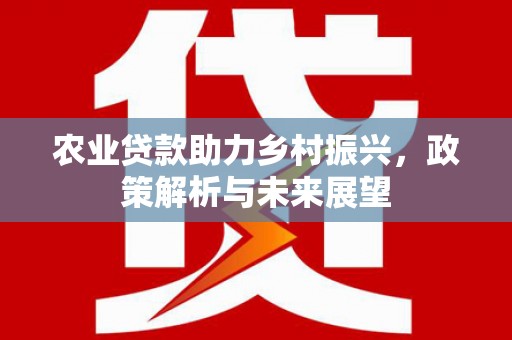 桐城农业贷款助力乡村振兴，政策解析与未来展望